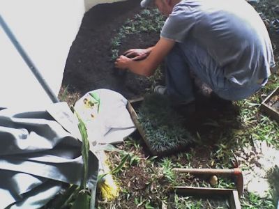 terra adubada 11-2303-5217 ,7303-3441