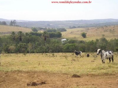  fazenda em divinopolis  mg 140 km de belo horizonte  344 há