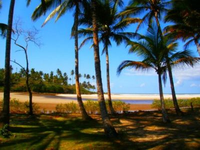 Vendo terreno de 240000m² Ilhéus-Bahia 
