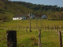 Fazenda 163 alqueires