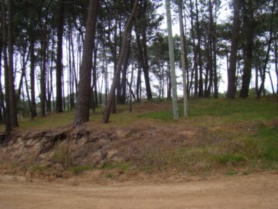 Terreno en Venta'.Montoya.Uruguay