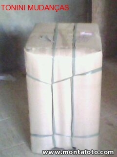 TRANSPORTADORA TONINI MUDANCAS E GUARDA-MÓVEIS