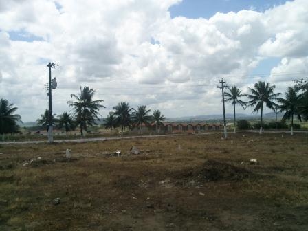 Terrenos em Carpina p/ R$ 20.000,00