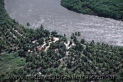 FAZENDA DE COQUEIROS A VENDA EM SERGIPE