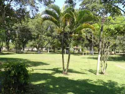 Ótimo sítio, com 6.000 m2, 2 casas, campo de futebol, piscina e muito verde!