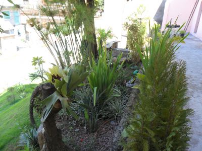 Pensionato Masculino Dona Lúcia em Belo Horizonte.