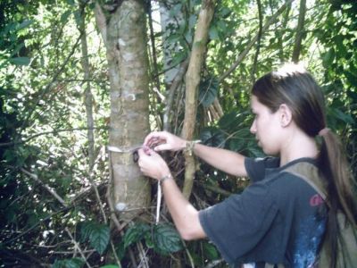 laudo de fauna e flora