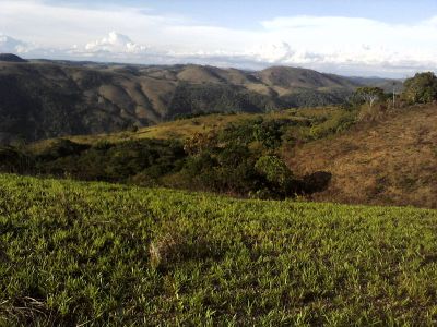 150 HECTARES MAIS BARATOS E DE ALTA QUALIDADE NA REGIÃO