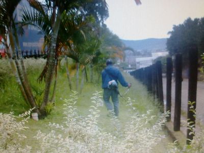 roçada de terreno -11 2303-5217 ,7303-3441