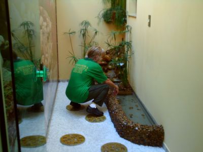JARDINEIRO EM SANTO ANDRÉ/SÃO BERNARDO ABC-S.P