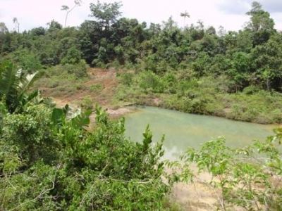  Área com 54 hectares, ótimo para empreendimentos.