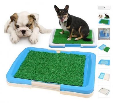 Dog Toilet- Sanitario Canino - Toillet Canino  