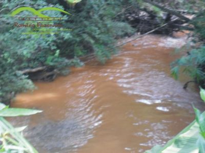 chácara c/ água corrente no meio Igarapé itatiaiuçu