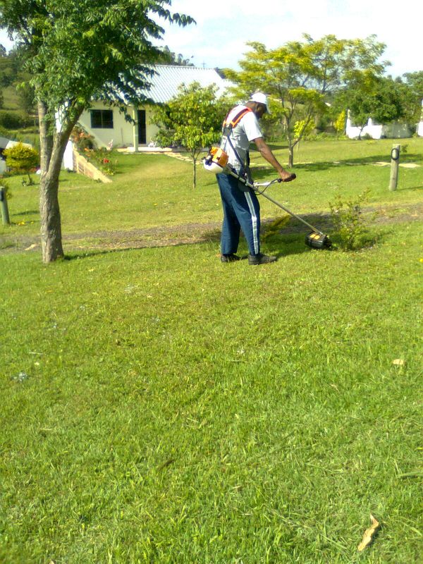 Serviços de limpezas em geral