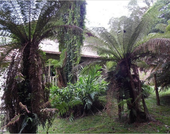 Casa Rústica no Alpes