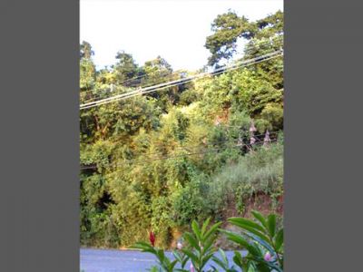 Terreno a venda no centro do Portogalo em Angra dos Reis