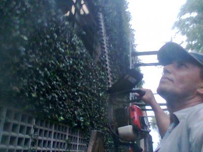 PAISAGISMO e JARDINAGEM (11)2303-5217/ 7303-3441 /6557-9589/8621-3420