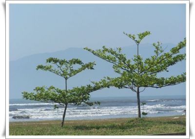 Caraguatatuba: Terreno de 500m² frente para o mar - R$180.000,00