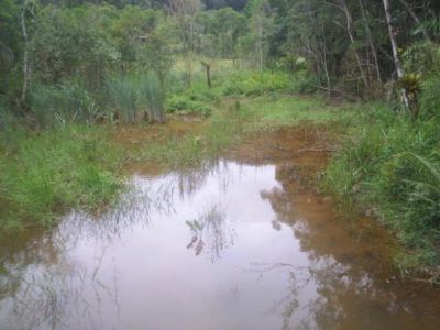 SÍTIO 3,5 ALQUEIRES - JUQUITIBA - SP - F: (11) 4686-1562 - CEL: (11) 7302-9229 