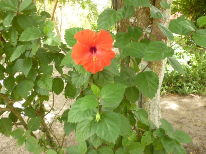 Blend Eldorado in Goiana/Pernambuco/Brazil
