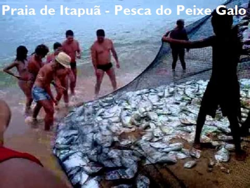 Temporada Em Praia De Itapuã Em Aptº de 03 Quartos Perto Do Mar.