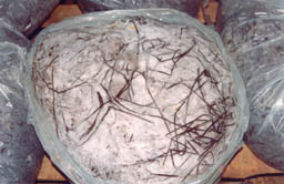 A g cogumelos / Composto de cogumelos