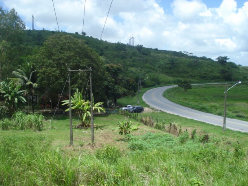 Área para seu projeto empresarial