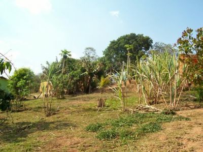 BELÍSSIMO SÍTIO PRÓXIMO AO CENTRO DA ESTÂNCIA HIDROMINERAL DE MONTE ALEGRE DO SUL