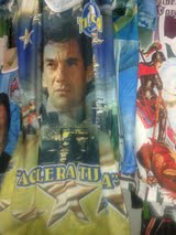 CAMISAS Das Escolas De Samba CAMPEÃS Do RIO Originais  e Patenteadas M e F