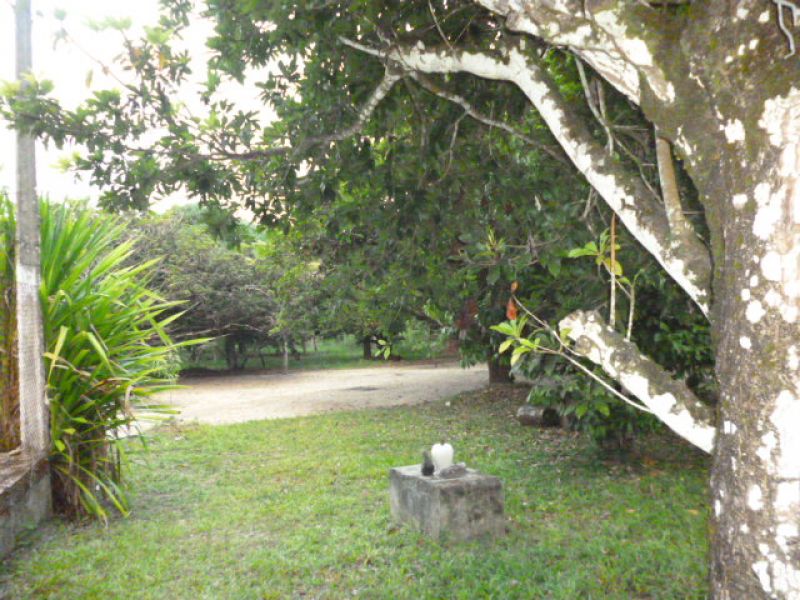 Granja Coração de Jesus em Goiana/PE p/ investidor inteligente