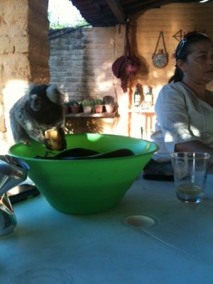 CASA MOBILIADA PRAIA DA PIPA