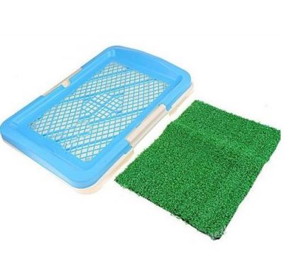 Dog Toilet- Sanitario Canino - Toillet Canino  