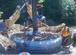 Eng Ambiental corte e Poda De Arvores