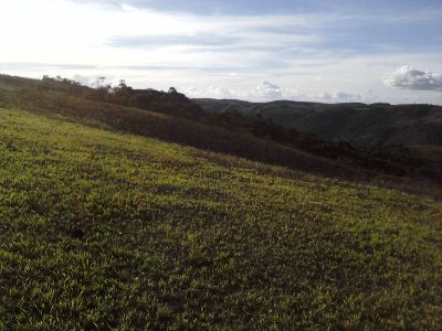 150 HECTARES MAIS BARATOS E DE ALTA QUALIDADE NA REGIÃO