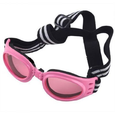 Dog RayBan Proteção UV  