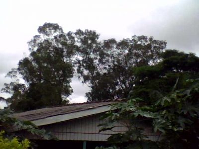 chalé de madeira antigo