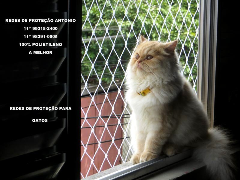 Redes de ProteÃ§Ã£o para varandas, sacadas, janelas, gradil, (11)  98391-0505