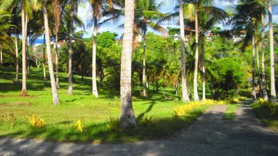 Vendo terreno de 240000m² Ilhéus-Bahia 