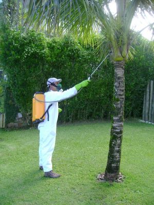 Imuni Astro Dedetização Angra dos Reis (24) 3369-2713