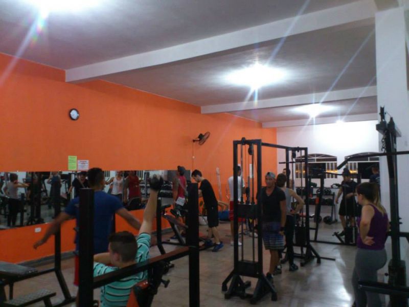 Tiger Academia Perus