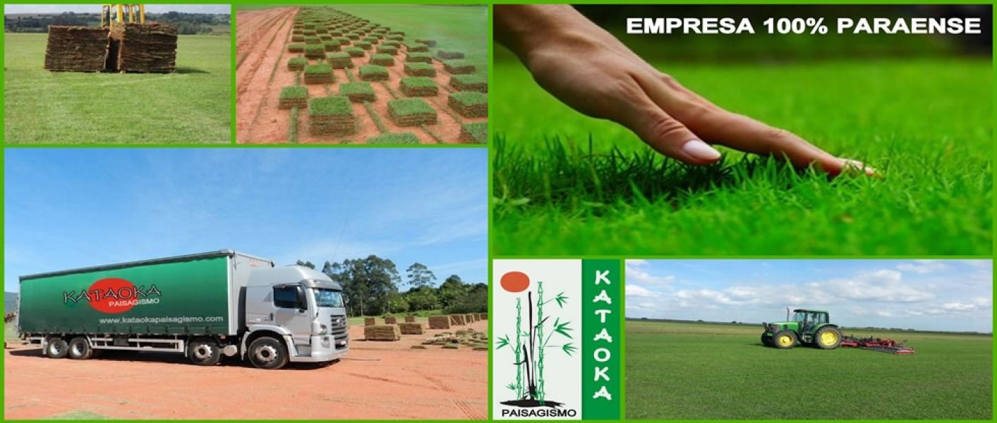 Grama Esmeralda, Direto do Produtor