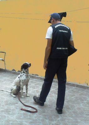 ADESTRADOR PROFISSIONAL