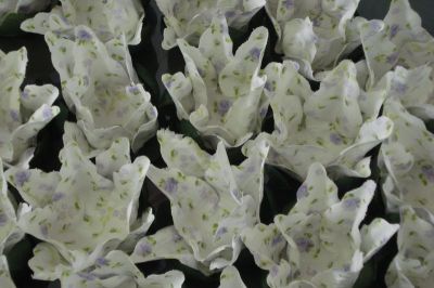 FORMINHAS PARA DOCES FINOS A PARTIR DE 0,45