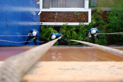 pintura comercial 11-2303-5217 ,7303-3441