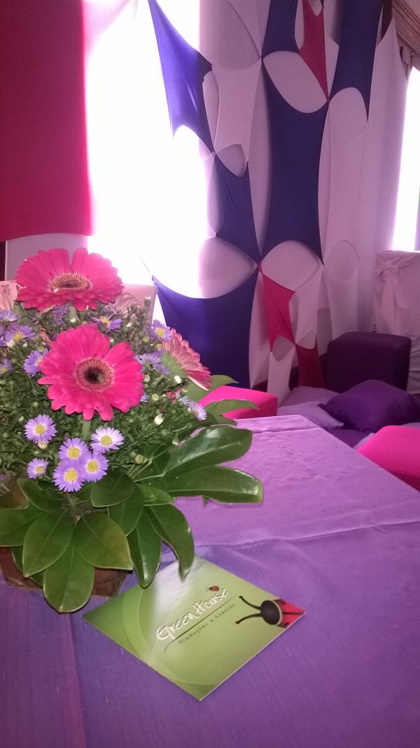 Malhas Tensionadas / Decorações e Soluções para seu Evento