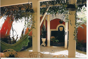 Casa - Mansão - S.J.do Rio Preto 