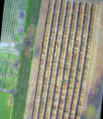 IMAGENS AÉREAS P/ ENG. FLORESTAL, AGRONÔMICA E AMBIENTAL