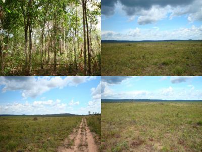 Fazenda a venda, 1.000 hectares em Balsas - MA na Serra do Penitente