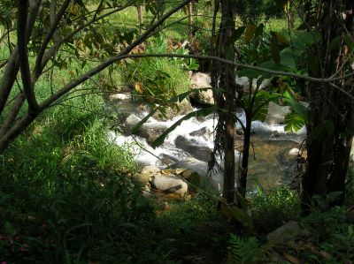 SÍTIO EM ANTÔNIO CARLOS - SC