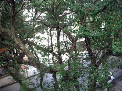 Apartamento a venda em  Salvador da Bahia, Corredor da Vitoria